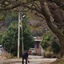 터미널사거리 교통섬-시외버스터미널 건너편 | 남파랑길 62코스(순천/보성)