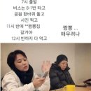 매미캠프 이미지