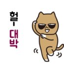 닥터 호오 동물병원 이미지