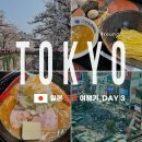 맘스터치 길건너 교차로 | [도쿄] 도쿄 벚꽃여행 3일차-나카메구로 벚꽃길/유자츠케멘/하라주쿠/캣스트리트/시부야 스크램블 명당...