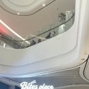 몰리스펫샵 센텀 | 강아지랑 애견동반 스타필드 수원 방문 후기 - 시설, 펫파크 이용방법, 주차 헬게이트를 곁들인.