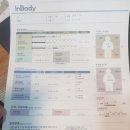 메이저 복싱짐 | [성신여대 복싱] 메이저복싱짐 3주 후기 :: 근육+0.3 지방+1.4...!??!?