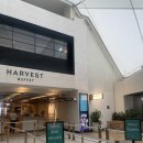 코스트 조식, 하버타운아울렛(셔틀버스 이용), 스카이포인트, 골드코스트 비치, 브로드 비치, 퍼시픽...