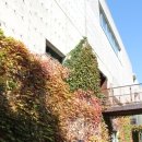 주세페 안달로로 피아노 리사이틀 이미지