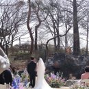 안나파티앤플라워 플라워 디렉팅 후기(드래곤힐랏지 야외 예식)