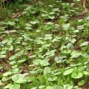 천보산농장 이미지