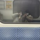 다보여안경 양산점 이미지