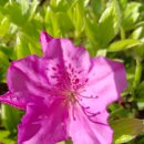 성원노래방 이미지