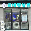 빵이펫살롱 이미지