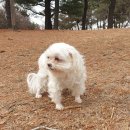 쥬쥬동물병원 이미지