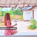 스테이더담 사촌점 이미지