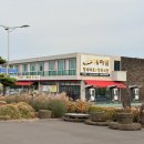 숲의동화 | 제주 송당 동화마을 가족 여행 후기｜무료 입장 기차체험 도토리숲