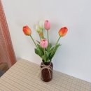 뽀삐 | 진주 망경동신상카페 "오늘" 다녀온 후기 ♥️