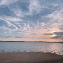 소나무 숲 리조트 이미지