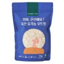 모던