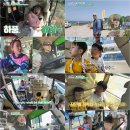 하하유치원 이미지