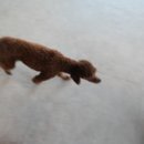 호식이빵 이미지