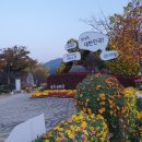 영암곤충박물관 이미지