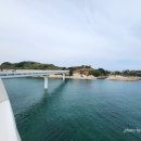 고성 송지호 바다하늘길 죽도 스카이워크 시범개방 후기 산책코스 주차장 총정리