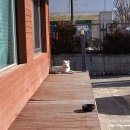 신조선집 이미지