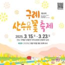 2025 구례 산수유꽃 축제 이미지