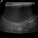 청주24시동물병원 이미지