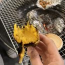멍펜션12 네이버블로그