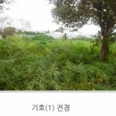 강정동-29 이미지