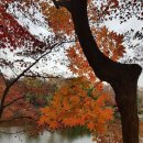 부동산중개사람 이미지