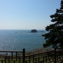 동백섬 이미지