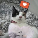 프렌드편의점 이미지