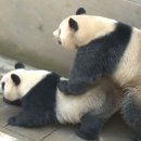 동심 이미지