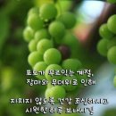 믿자 마자 전도 이미지