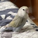 전곡읍-21 이미지