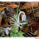 남양농장 이미지