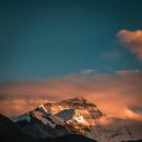 송촌목장 이미지