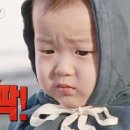 STAY. 보성 이미지