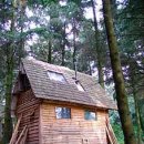 자연을 닮은 집 이미지