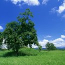 그린에버 이미지