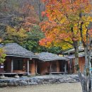 지리산황토펜션 | 지리산펜션 황토길 걷기 숲캉스 벽난로 불멍 체험 아름다운산골
