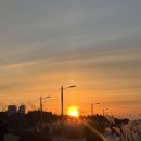 대건슈퍼 | [공지] 응디의 첫 이모저모 많관부🙇‍♀️