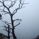 7월31일(수)속리산 국립공원 칠보산&쌍곡계곡 이미지
