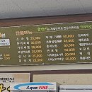 술딴지 이미지