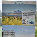 모도리어촌체험휴양마을 이미지