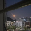 멍멍아 야옹해봐 이미지