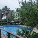 세븐일레븐제주북초교점 | [제주 일주일살기] 성산 코델리아리조트 가성비 숙소 야외수영장 이용 후기