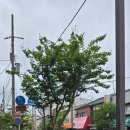 미야즈