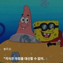 뚱이 이미지