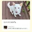 2024년 8월