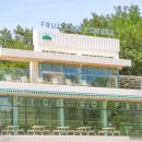 달맞이길 프루터리포레스트 - 해운대 송정 한적한 숲 뷰 대형 카페, 애견 동반 가능
